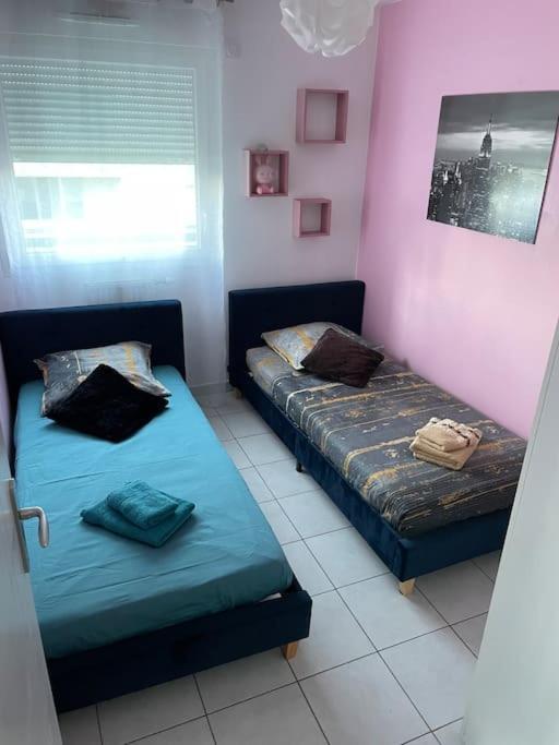 Grand Appartement Avec Vue Magnifique - Vercors - Une Experience Unique - Wifi Gratuit Grenoble Ngoại thất bức ảnh